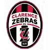 克拉伦斯斑马后备队