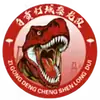 自贡队